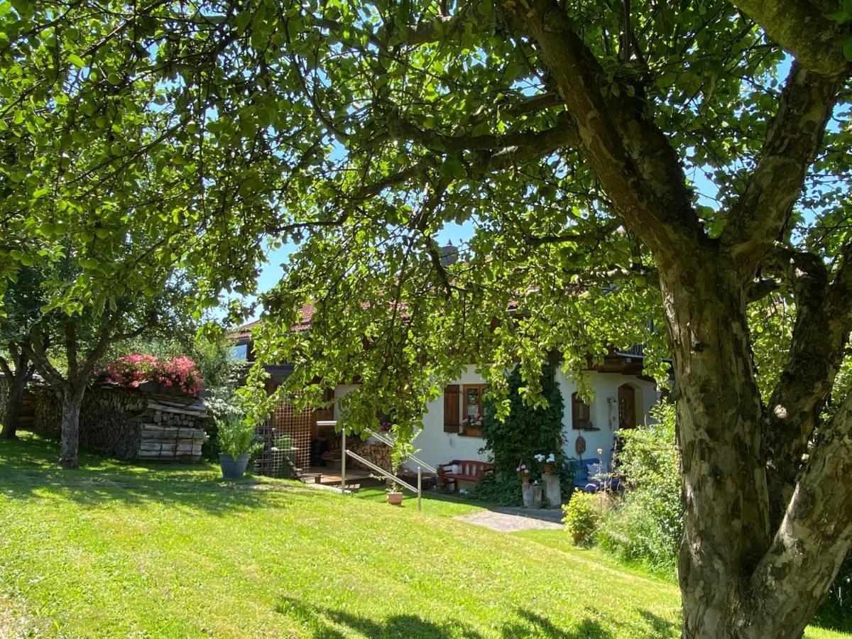 Haus Wiesengrund Frauenau Εξωτερικό φωτογραφία